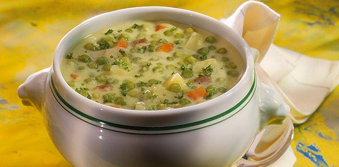 Рецепт крем супа овощного