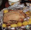 ������ ���� � �������