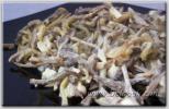 ����� � ������� ����